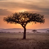🇿🇦 Earth, Wind & Faith (@ecofriend_world) 's Twitter Profile