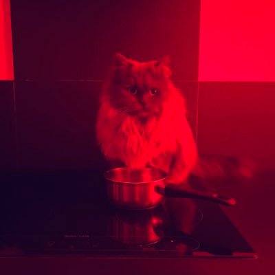 Aleg_Dillyjuice's profile picture. 👀 Independant Product Designer