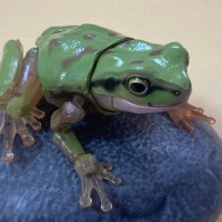 仕掛け人(アマガエルのすがた) (@shikakenin_gm) 's Twitter Profile Photo