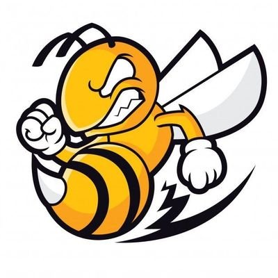 Crypto Bee 🐝