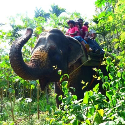 wildlife sanctuary around the world
🌱🌱🌱🌱🌱