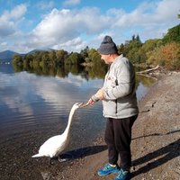 Alistair Ferguson (@alistairfergu11) 's Twitter Profile