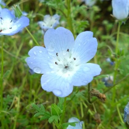 yokomican's profile picture. 京都と滋賀が大好きな公認心理師で理学療法士 / 児童発達支援 / 発達研究 / Ph.D. / 1児の母