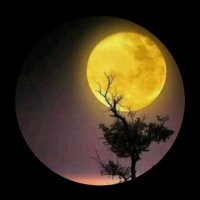 Sema2 (@semaa_b2) 's Twitter Profile Photo Sema2 (@semaa_b2) 's Twitter Profile Photo