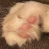 ゆ (@xuoqperug042568) 's Twitter Profile