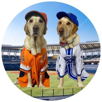 sudako6099's profile picture. 99世代 De兼オイシックス De #44 オイシックス #00#32#33 アイコンは愛犬のそと君です！！