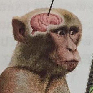 shorezero's profile picture. hit the shore and fully the