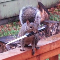 squirrel with knife(@SWK_cro) 's Twitter Profile Photo