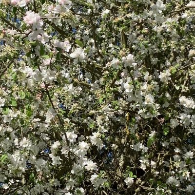 Eric1221221's profile picture. Just chilln