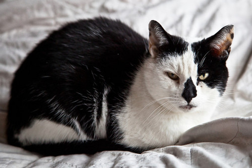 PluisVanM's profile picture. He/him.

@Huginn@jorts.horse

https://t.co/20ZeyIpYyR