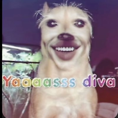 ambertookaturd's profile picture. 