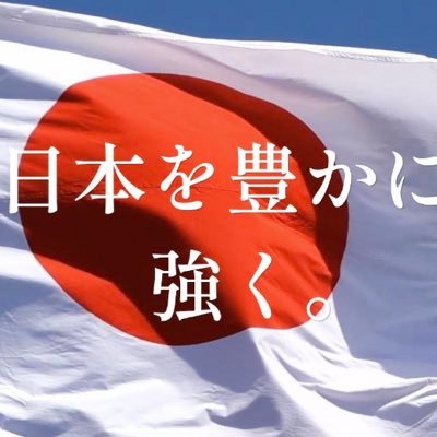 日本を守る為に日本人の為に働く議員さんを応援します。日本保守党と日本改革党を応援します🇯🇵移民大反対‼️