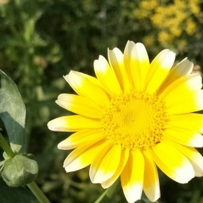 hejia1526's profile picture. 