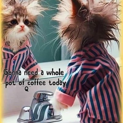 Tallinskovnik's profile picture. An extrovert who can be a reserved one.