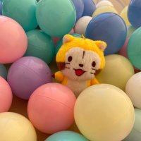 むー (@howahowakko) 's Twitter Profile