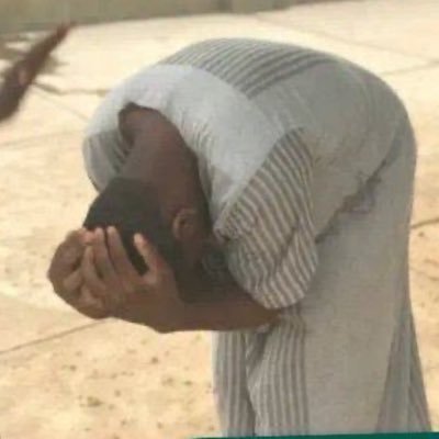 bigsteeze00's profile picture. BIOSYSTEMS ENGINEER