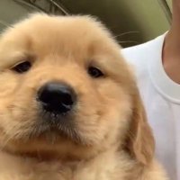 bb (@neveryouever) 's Twitter Profile