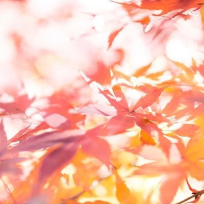 初めまして。25↑以上無言フォロー失礼します。リツイート多め。ツイステ🐬🦈双子推し。⚾️超初心者🔰🐮♯18宮城くんファンに。🐮皆さん好き。(🐮宮城くん多め)(フォロバはかなり遅めです。ごめんなさい)(ネガティブな事も呟きます)時々言葉使いが悪くなる。🐰♯97さんも気になってます