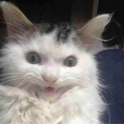 elalbenz's profile picture.