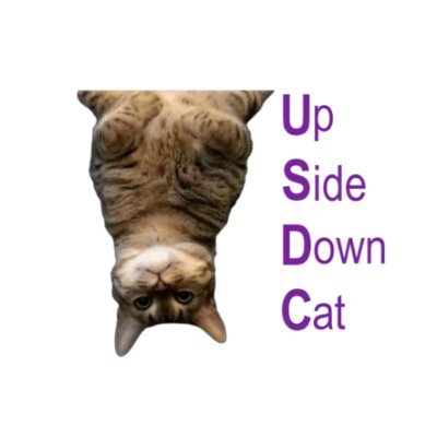 1 USDC = 1 $USDC
@upsidedowncat_