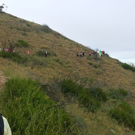 88ShowMeState's profile picture. 