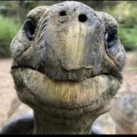 Sassy Scorpio 🦂 (@sassyscorpio04) 's Twitter Profile