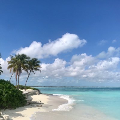Conservative. Biblically correct. “Got a Caribbean soul I can barely control and some Texas hidden here in my heart” JB.