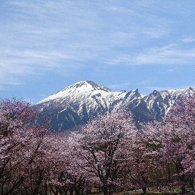 岩手県県民の森公式アカウントです。岩手山北麓、標高500-1000m、面積360haの森林公園。自然情報等を毎日お届けします。メッセージにはお応えできませんのでお電話ください。森林ふれあい学習館【電話】0195-78-2092【開館時間】9~16時【休館日】火曜日(祝日の場合翌日振替)・年末年始(12/29-1/3)