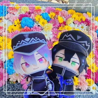 しーちきんネキ▽▽▽さんのプロフィール画像