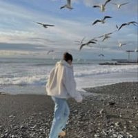 DinahAlfred (@5pc3q8563f9iljh) 's Twitter Profile