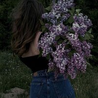 CarolMatthew (@4xqy2xmn35l92) 's Twitter Profile