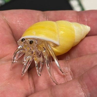 淡水性のエビとカニが好きな人🦀 飼育情報交換用アカウント。熱帯魚(コリドラス)も飼育。釣りも交えた採集や飼育の情報を垂れ流す。 飼育生物→コリドラス、アカテガニ、オカヤドカリ、ヤマトヌマエビ、ルリーシュリンプ