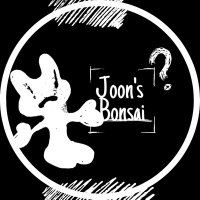 Joon's Bonsai | RPWP(@JoonsBonsai94) 's Twitter Profile Photo