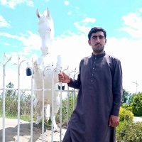 Janagha Afghan(@janagha478641) 's Twitter Profileg