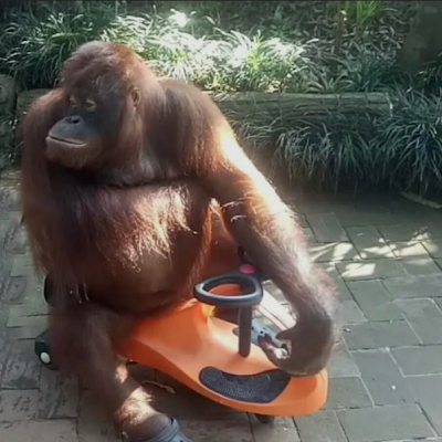 Matuloo184542's profile picture. 