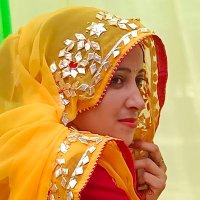 Seema Meena(@SeemaRmeena) 's Twitter Profile Photo