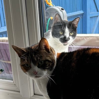 pippa_redmond's profile picture. 
