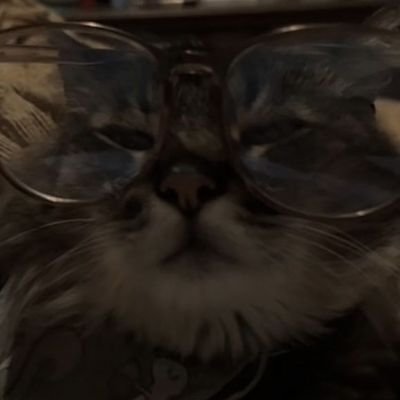 efodamn's profile picture. (-24,5/28kg)    vent acc                                                                                 
não interajo com gore💕