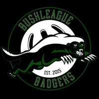 Bushleague Badgers(@LWA_Badgers) 's Twitter Profile Photo