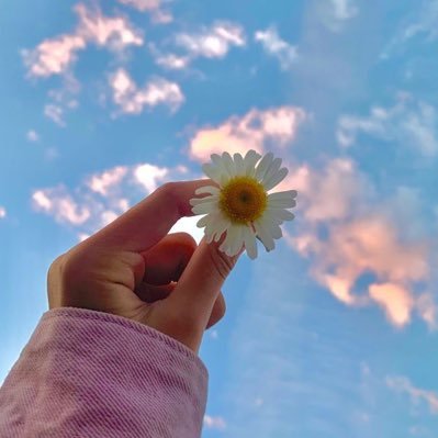 ⋆˙⟡ told my friends i hate you, but i love you just the same⋆˙⟡ pick your poison, babe, i’m poison either way