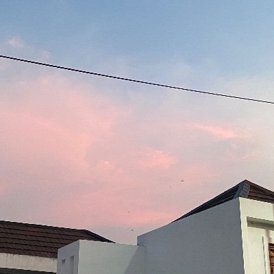 ptryarr12's profile picture. 