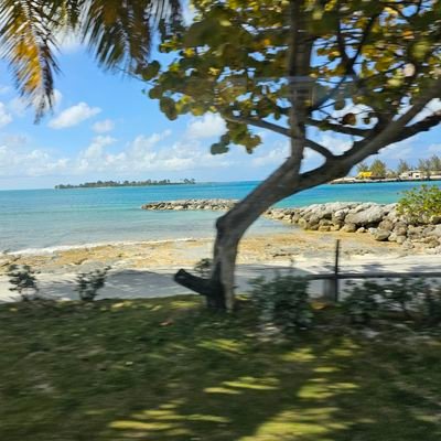 wykeite's profile picture. 