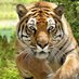 lindo ncube (@lbncube) Twitter profile photo lindo ncube (@lbncube) Twitter profile photo