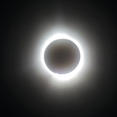 Whatisinaname4U's profile picture. 