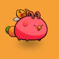 Philippp 🌐 (@phil1ppp) 's Twitter Profile Photo Philippp 🌐 (@phil1ppp) 's Twitter Profile Photo