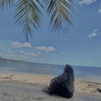 mit (@rrmthb) 's Twitter Profile