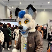 Eylof 'Lucky' Wolf 🐺 🇿🇦(@Eylof1994) 's Twitter Profile Photo