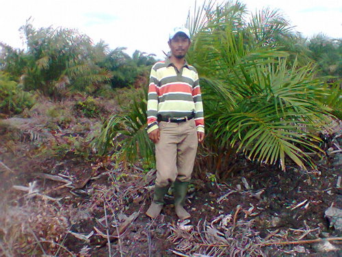 pirmaringos's profile picture. 