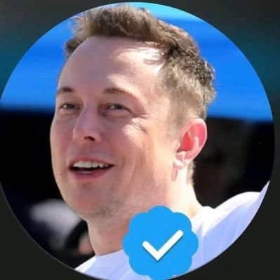 Founder, CEO, and chief engineer of Spacex * CEO and product architect of Tesla, Inc. * Owner and CTO of X, formerly Twitter * President of the Musk F