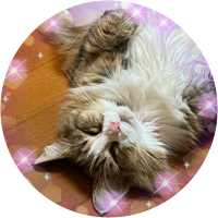 コロコロ! (@fddr322) 's Twitter Profile